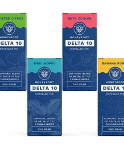 HoneyRoot Wellness Delta 10 Disposables | 1g