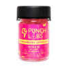 Punch Labs Delta-9 Gummies | 500mg