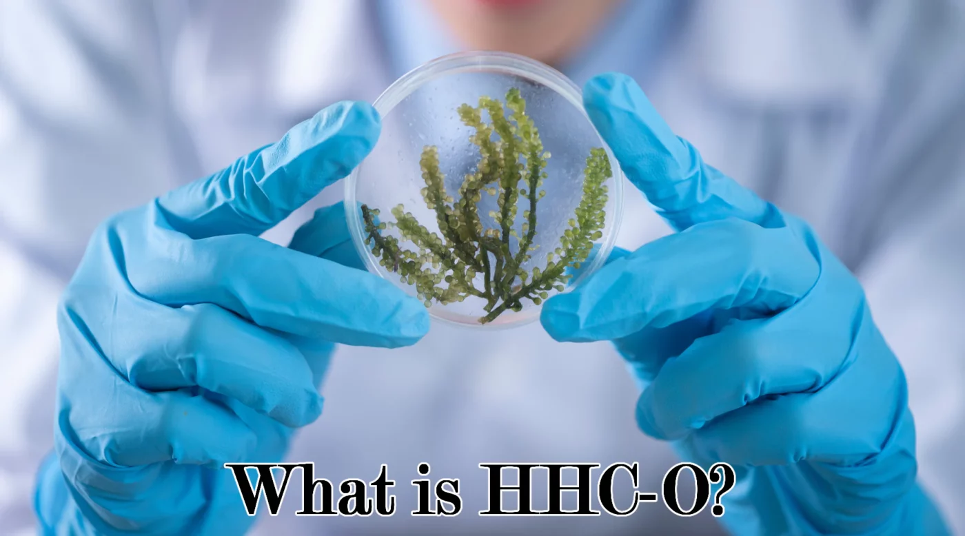 Understanding HHC-O A Novel Cannabinoid