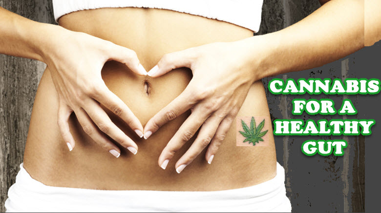 Does Cannabis Affect Gut Health